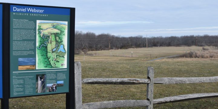 Daniel Webster Wildlife Sanctuary / Marshfield