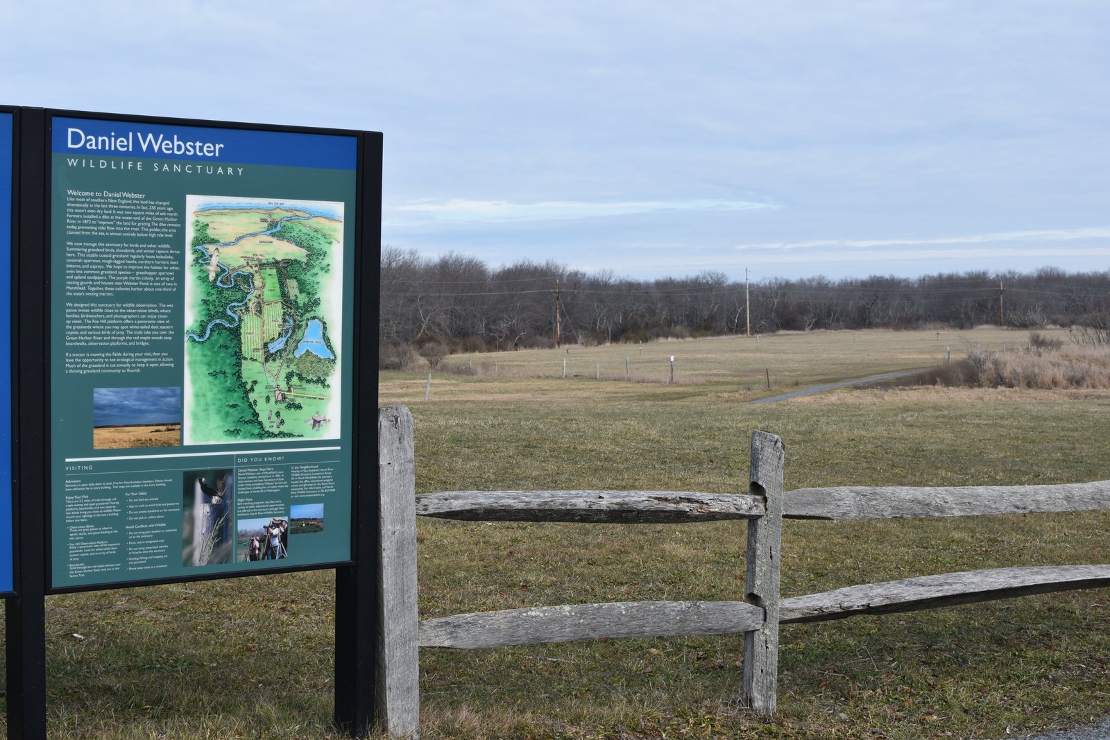 Daniel Webster Audubon Society Marshfield