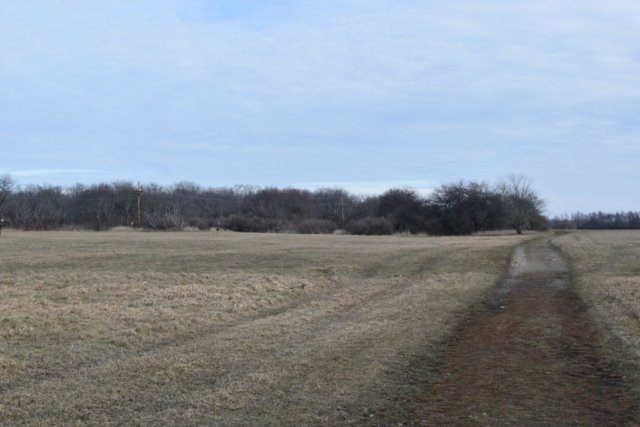 Daniel Webster Wildlife Sanctuary Marshfield