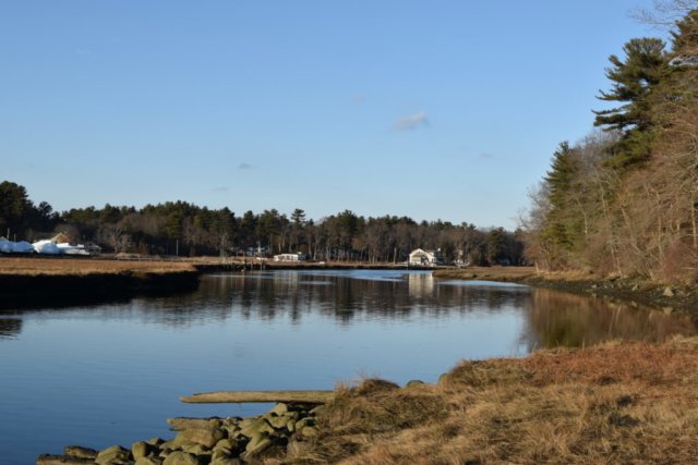 Nelson Memorial Forest Marshfield