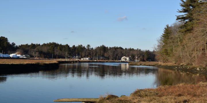 Nelson Memorial Forest / Marshfield
