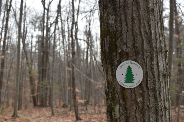 Hatch Lots Norwell