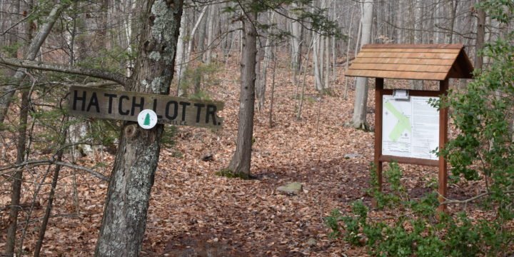 Hatch Lots / Norwell