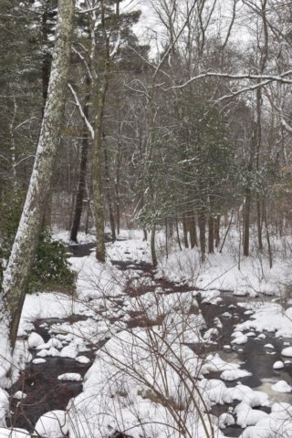 Norris Reservation Norwell Trustees Norris Reservation Norwell Trustees