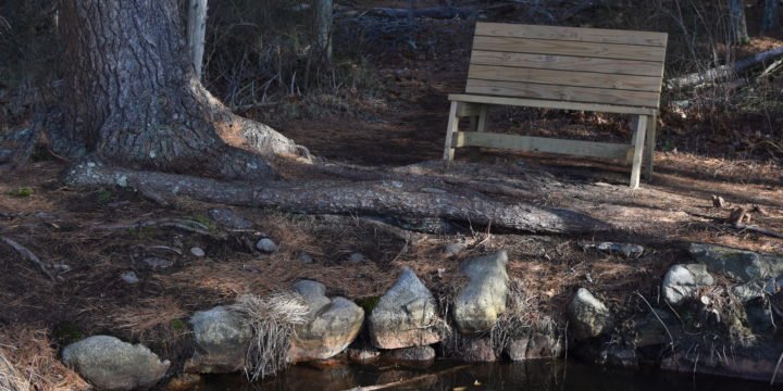 Hoyt-Hall Preserve / Marshfield