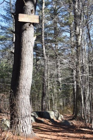 Wheelright Park Cohasset