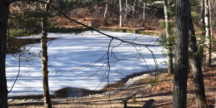 Wheelright Park & Barnes Wildlife Sanctuary / Cohasset