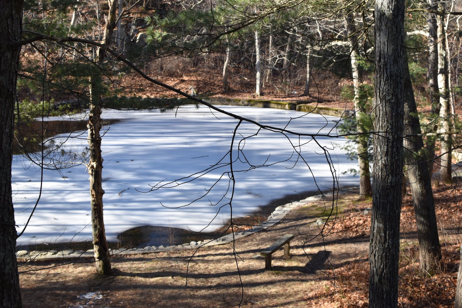 Wheelright Park Cohasset