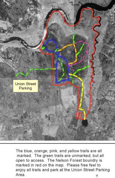 Nelson Forest Map