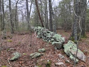 Pape Reservation Cohasset