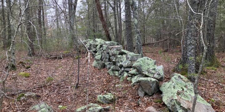 Pape Reservation / Cohasset