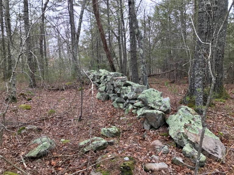 Pape Reservation Cohasset
