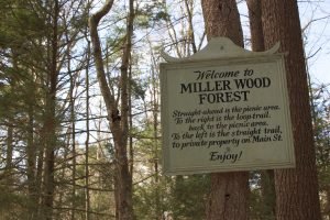 Miller Woods Norwell
