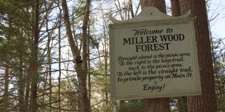 Miller Woods / Norwell