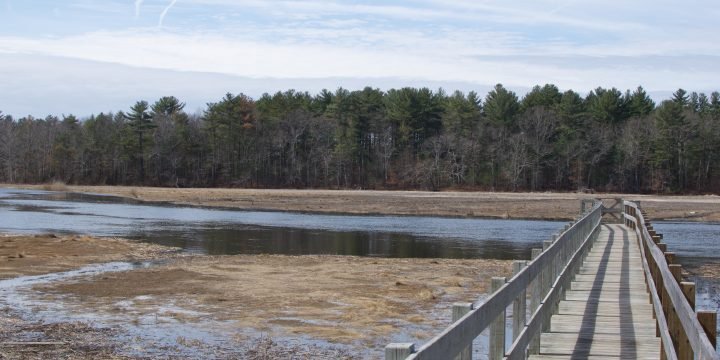 John Little Conservation / Marshfield