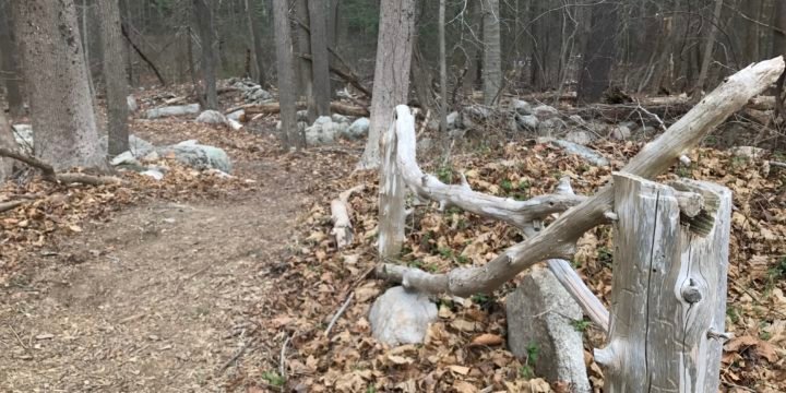 Bates Lane Trails / Scituate