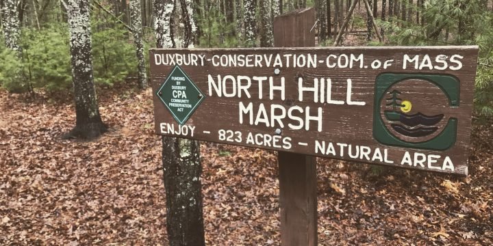 North Hill Marsh / Duxbury