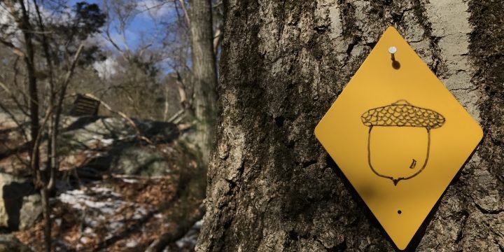 Ingram Park / Cohasset