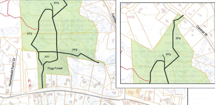 Fogg Forest Trail Map Norwell