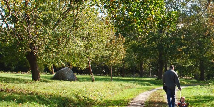 Best Group Hikes on the South Shore
