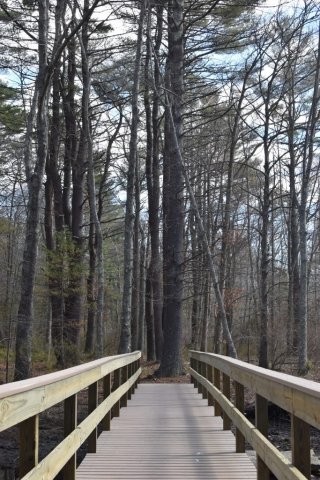 Pratt Trails Marshfield South River
