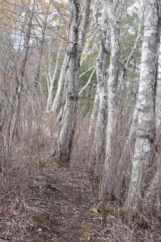 Pratt Trails Marshfield South River