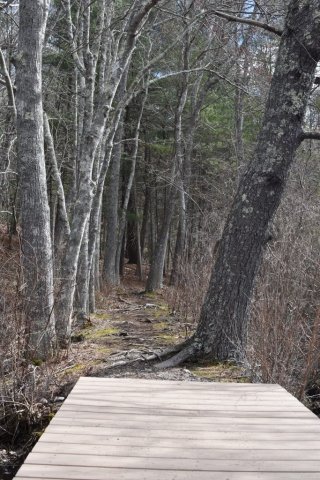 Pratt Trails Marshfield South River