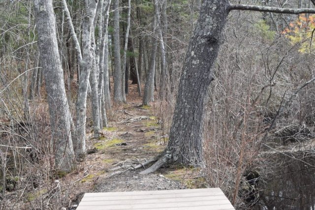 Pratt Trails Marshfield South River