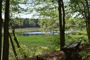 Stetson Meadows Norwell
