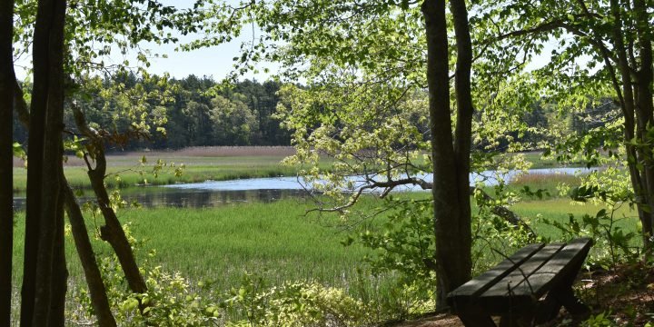 Stetson Meadows / Norwell