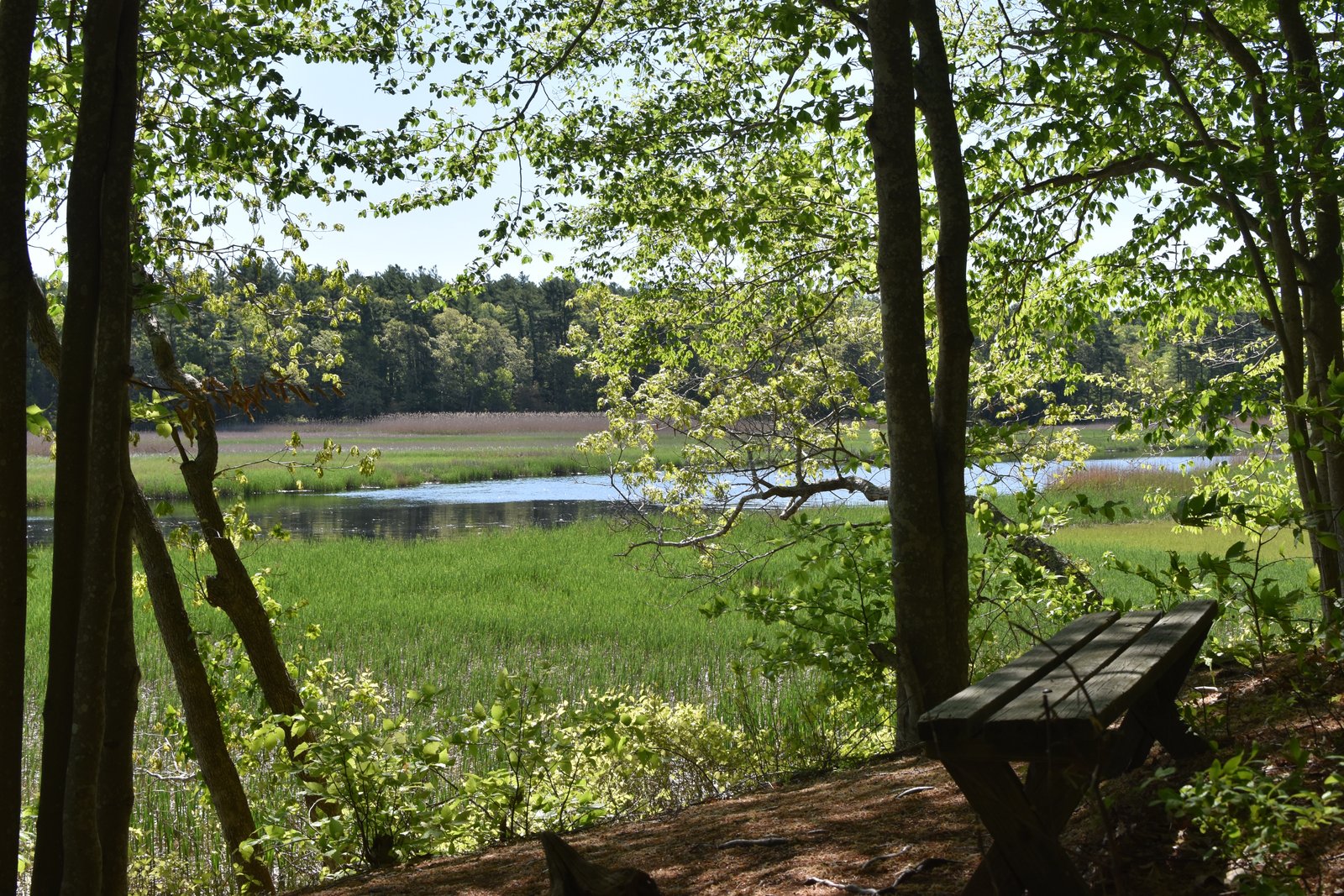 Stetson Meadows Norwell