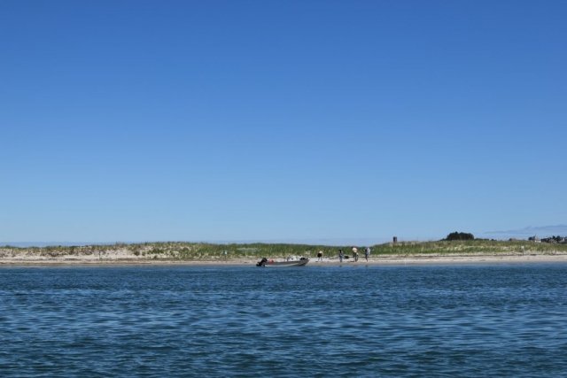 DSC_0246
