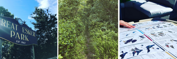 South Shore Trails Newsletter