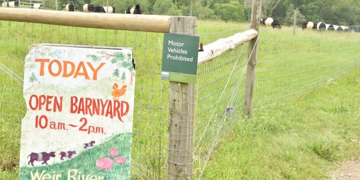 Weir River Farm Open Barnyard