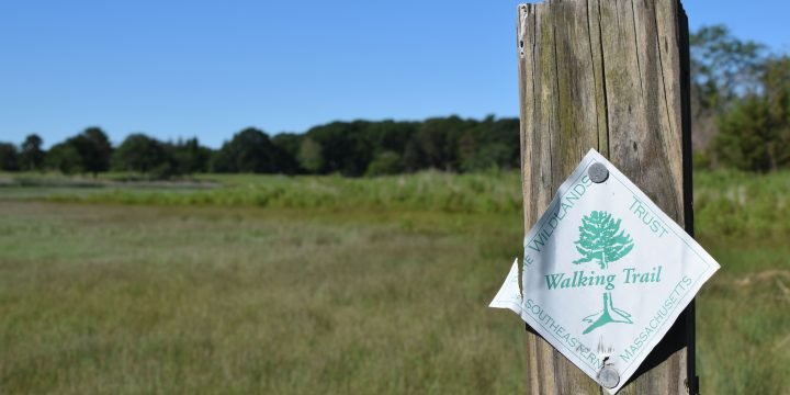 Cushman Preserve / Duxbury