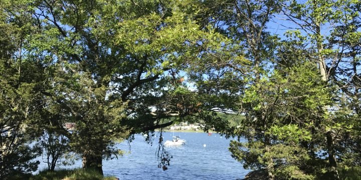 Stodder’s Neck / Hingham
