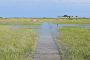 The Spit Scituate - South Shore Trails