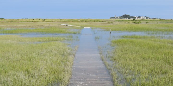 3rd Cliff aka “The Spit” / Scituate