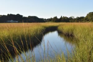 Driftway Scituate - South Shore Trails