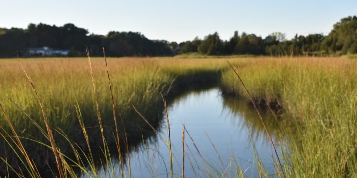 Driftway Old Colony Rail Bed Trail / Scituate