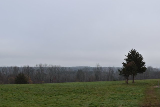 DSC_0516