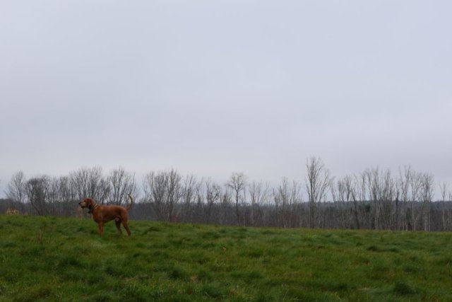 DSC_0534