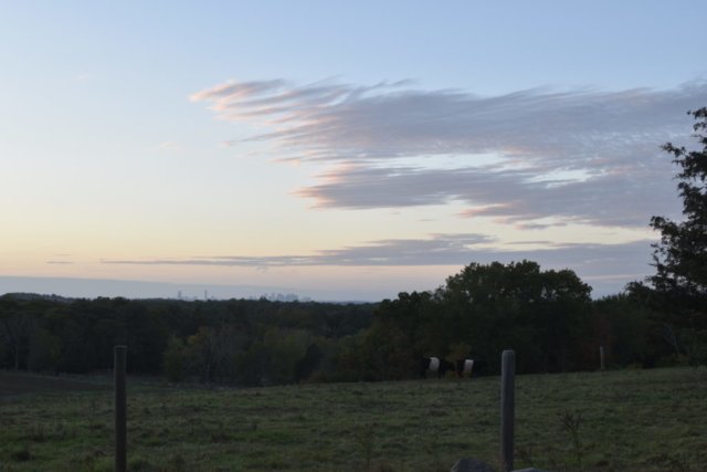 DSC_1487