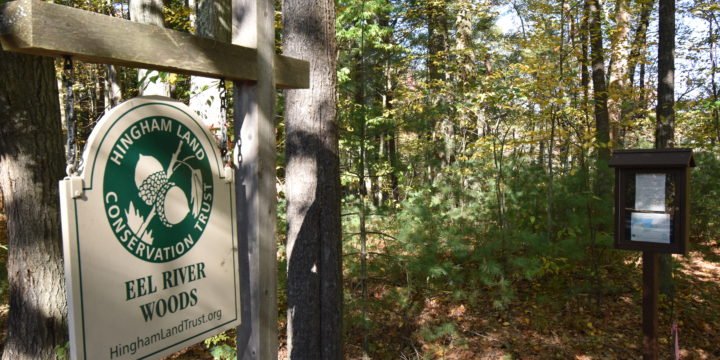 Eel River Woods / Hingham