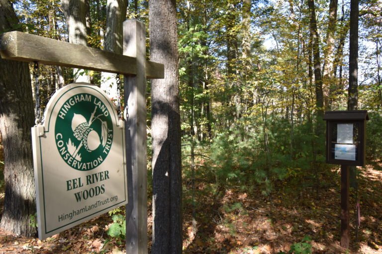 Eel River Woods - Hingham