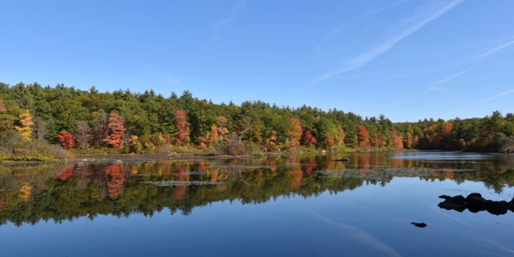 Triphammer Pond / Hingham
