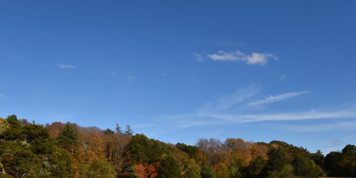 More-Brewer Park / Hingham