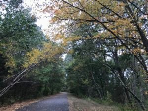 Bare Cove Park Hingham