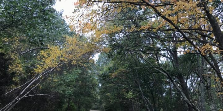 Bare Cove Park / Hingham