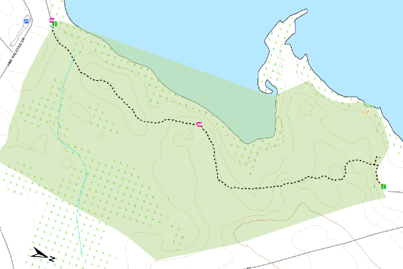 Bouve Trail Map